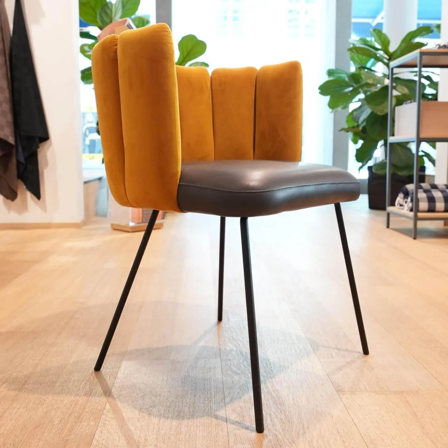 Stuhl Gaia Bezug Sitz Leder Sauvage Anthrazit Rücken Stoff Seven Ocre Gelb Metallgestell Struktur Schwarz