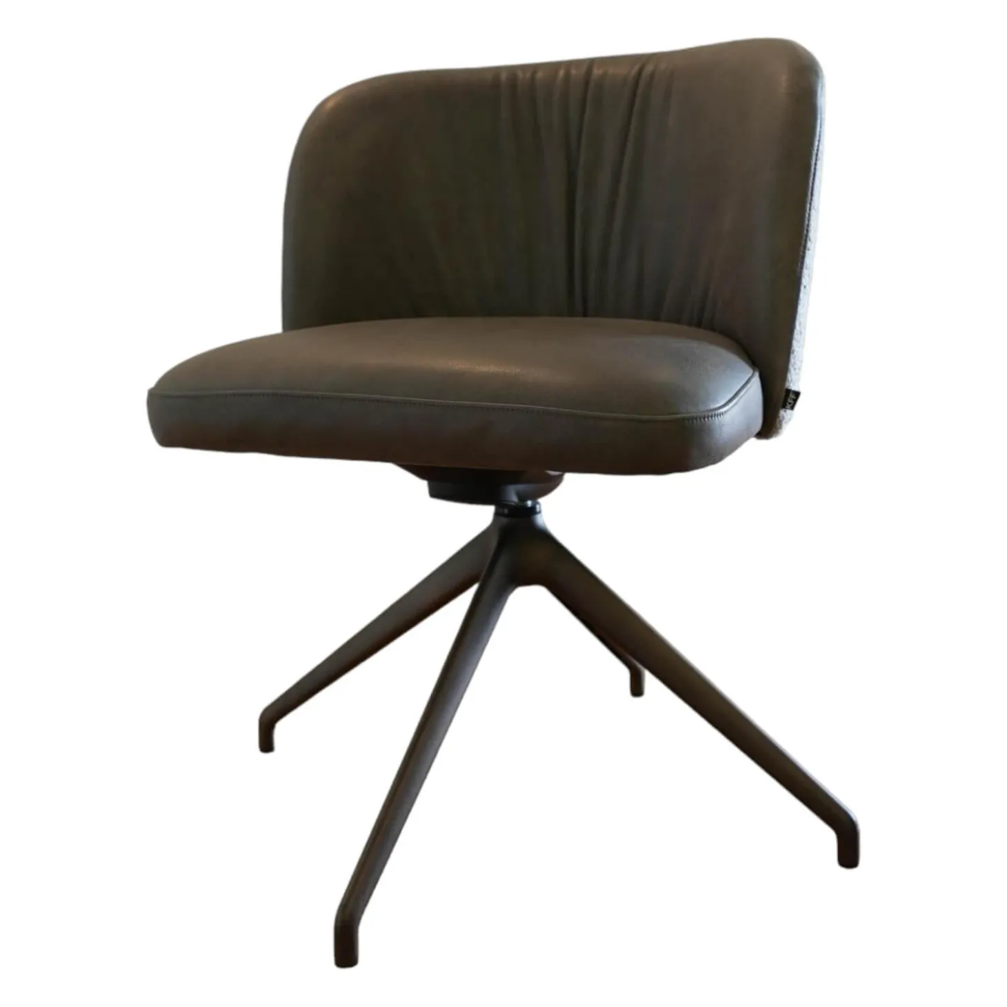 Stuhl Gaia Casual V2 Stoff Ascot Toffee 2402 Leder Rawhide Dawn 352