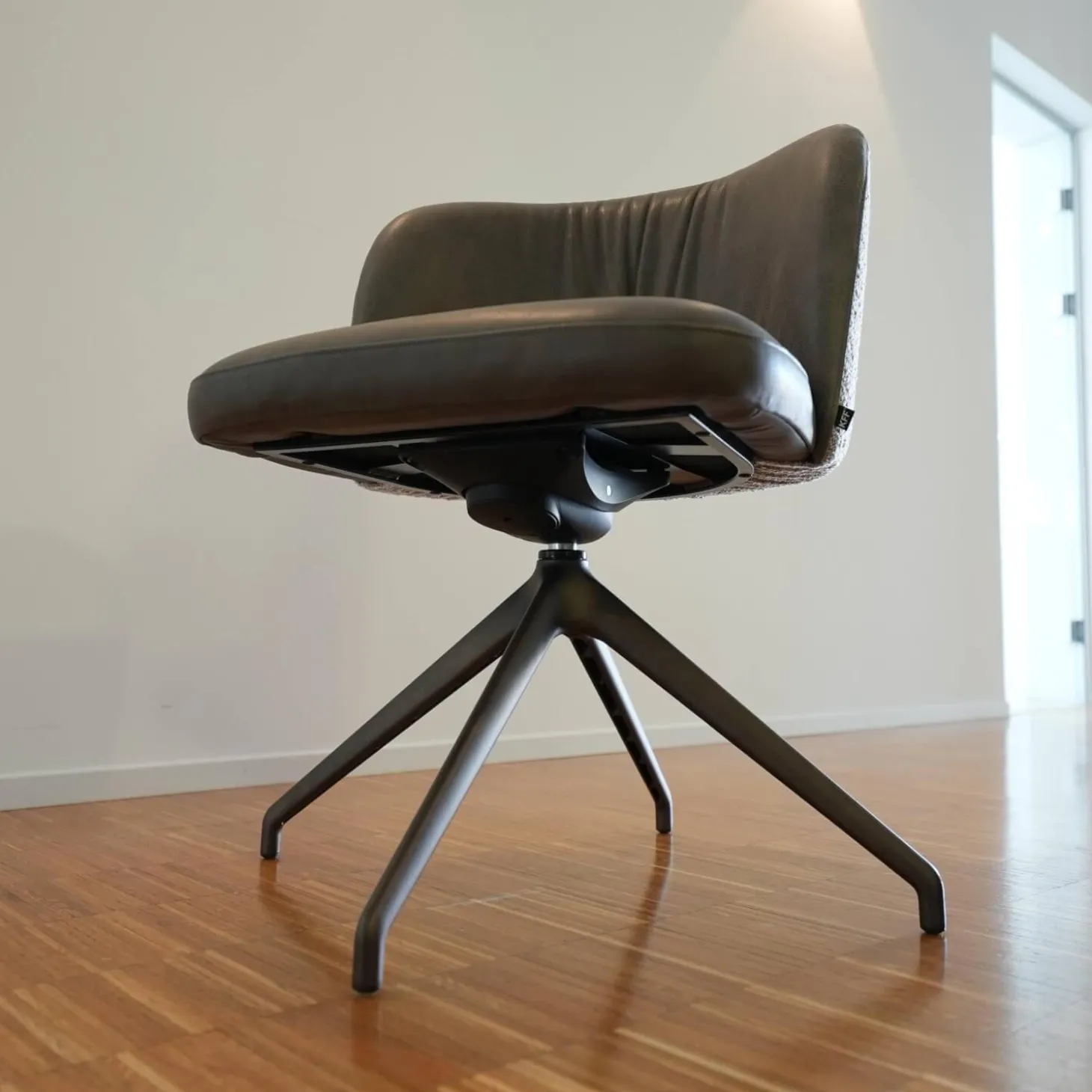 Stuhl Gaia Casual V2 Stoff Ascot Toffee 2402 Leder Rawhide Dawn 352