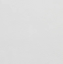 Stuhl Neve Leder Pelle P11-001 Gestell Eschenholz Natur W36