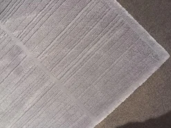 Teppich 400x300 Cratis Wolle 0258C Hellgrau