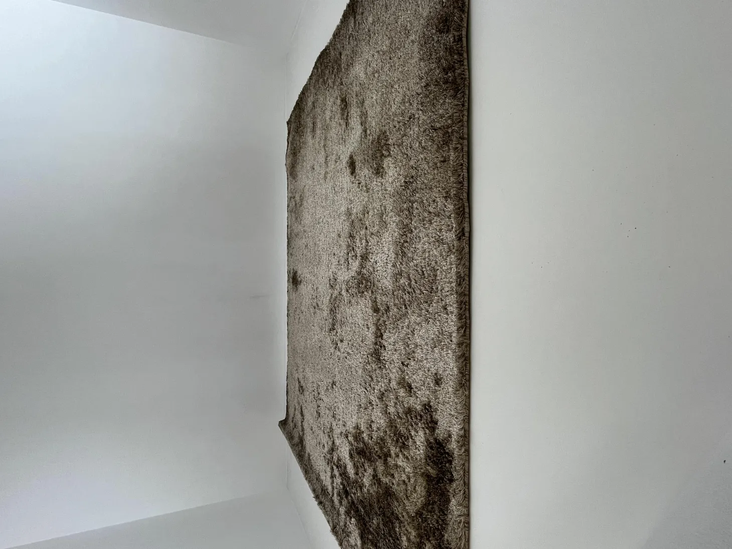 Teppich 277x241 Homelike ID 1503 Sand Beige Mit Geketteltem Rand