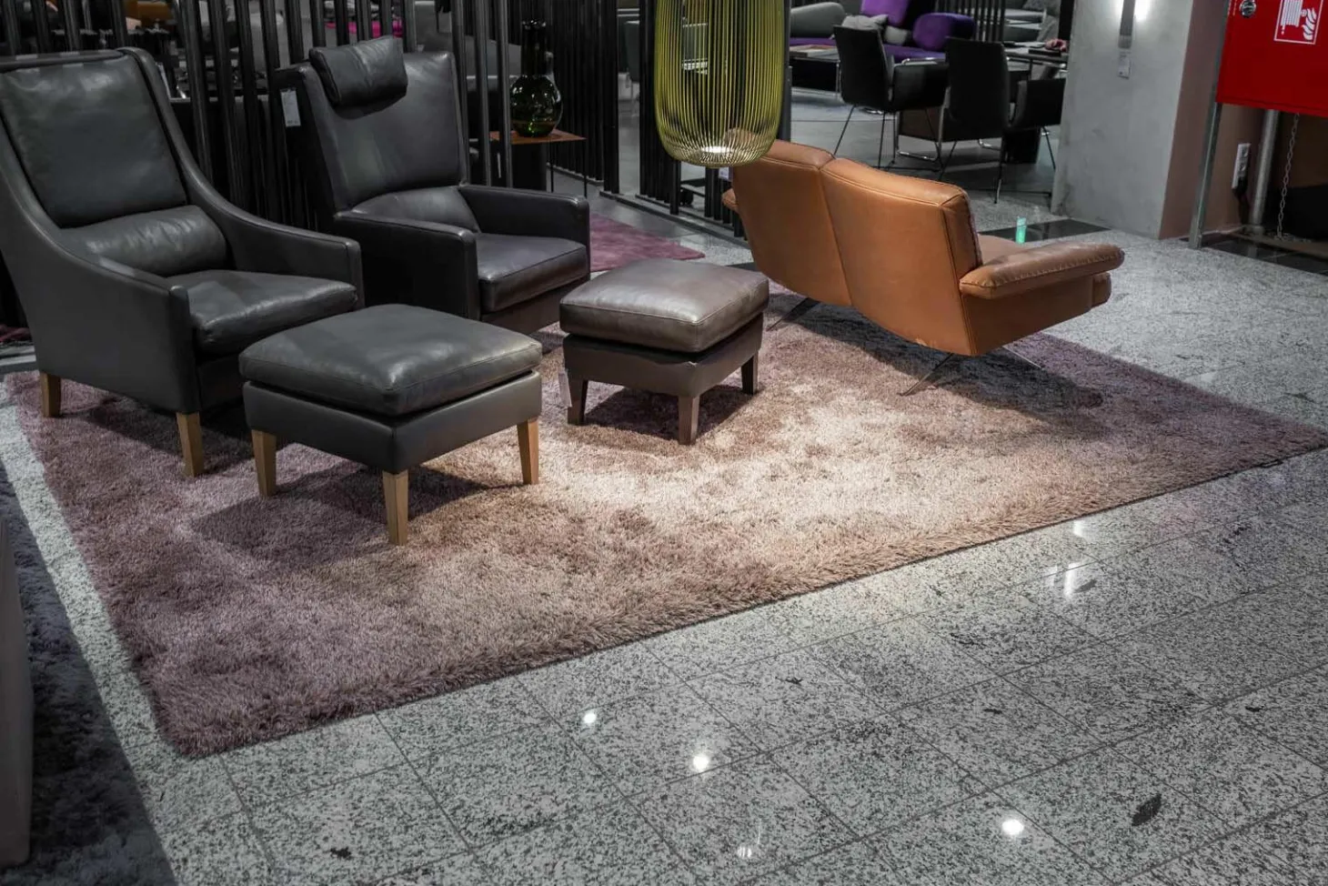 Teppich 350x250 Sauvage Rose Grau Mehrfarbig