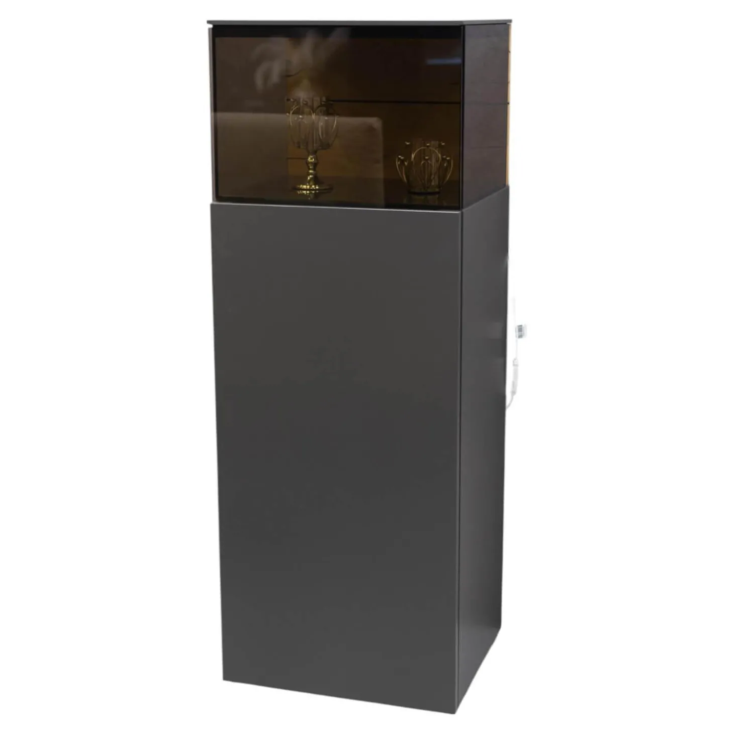 Vitrine Gentis Lack-Grau Akzent Eiche Naturstamm