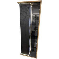 Vitrine V-Aura Eiche Geölt Akzent Lärche Schwarz mit Beleuchtung