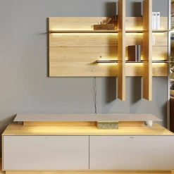 Wohnwand 2001 Kerneiche Natur Gebürstet Absetzungen Mattglas Naturgrau Mit Beleuchtung