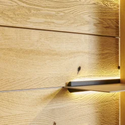 Wohnwand 2001 Kerneiche Natur Gebürstet Absetzungen Mattglas Naturgrau Mit Beleuchtung