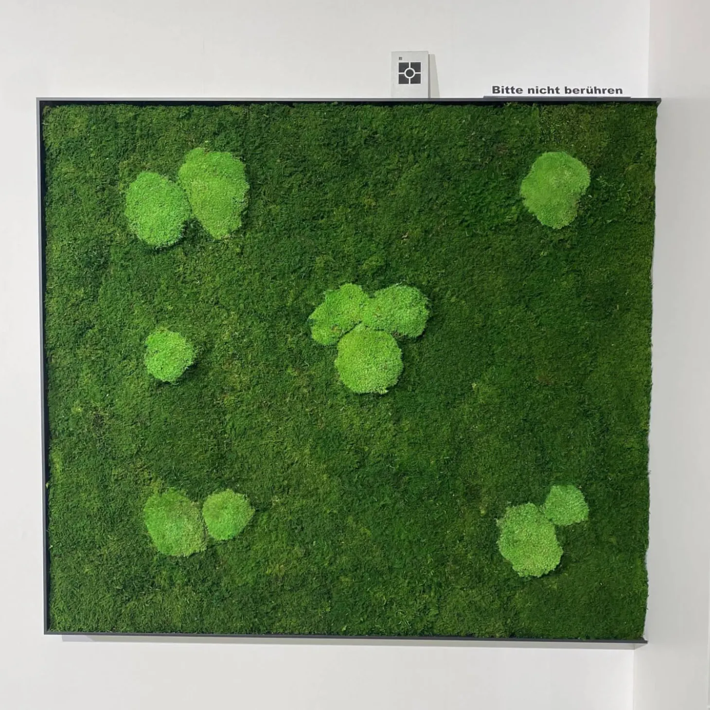 Wohnwand Linera Seidenmatt Weiß Wildeiche Natur Moos