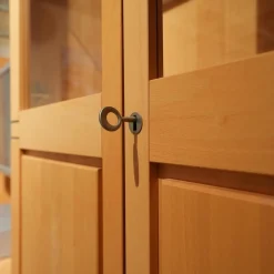 Wohnwand Tessin Buche Massiv Mit Beleuchtung Und Flachtrafo