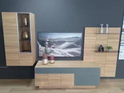 Wohnwand V Montanara Wildeiche Geölt Frontglas Montegrau Inklusive Beleuchtung